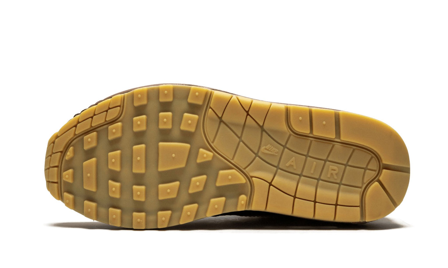 Nike Air Max 1 'Susan Missing Link'