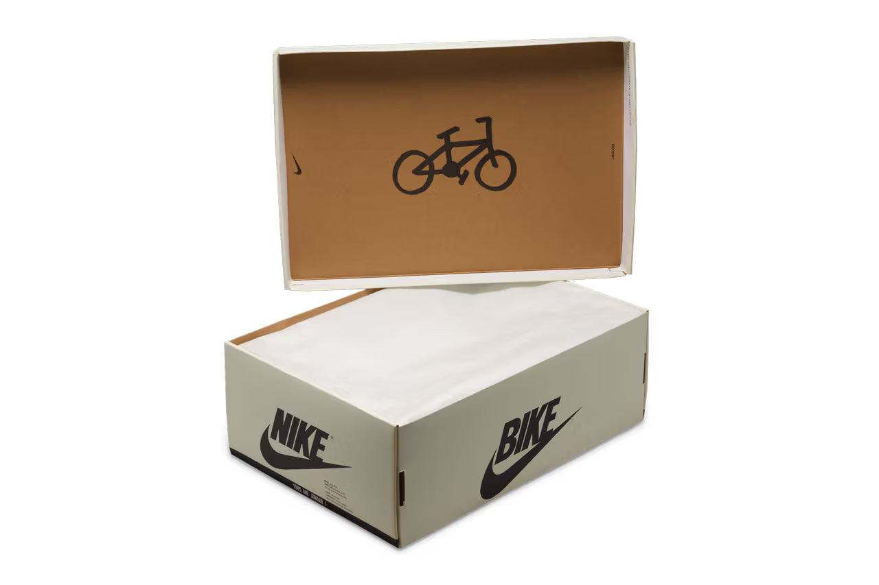 Air Jordan 1 Retro Low OG 'Nigel Sylvester - Better With Time'