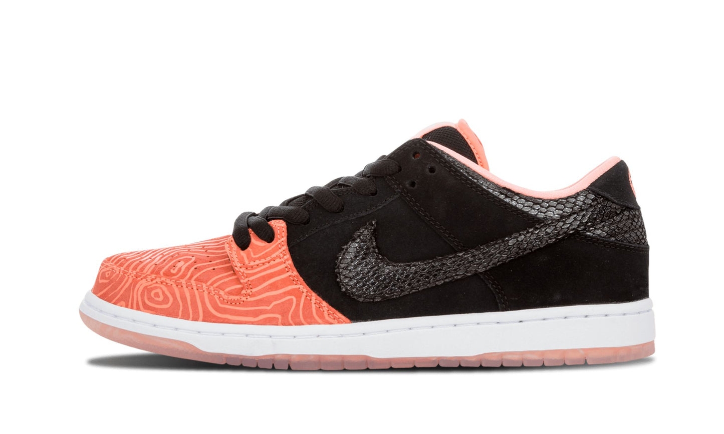 Nike SB Dunk Low 'Premier Fish Ladder' (PRE-OWNED)