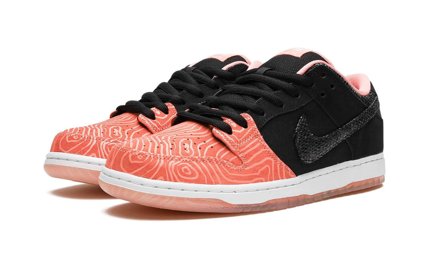 Nike SB Dunk Low 'Premier Fish Ladder' (PRE-OWNED)