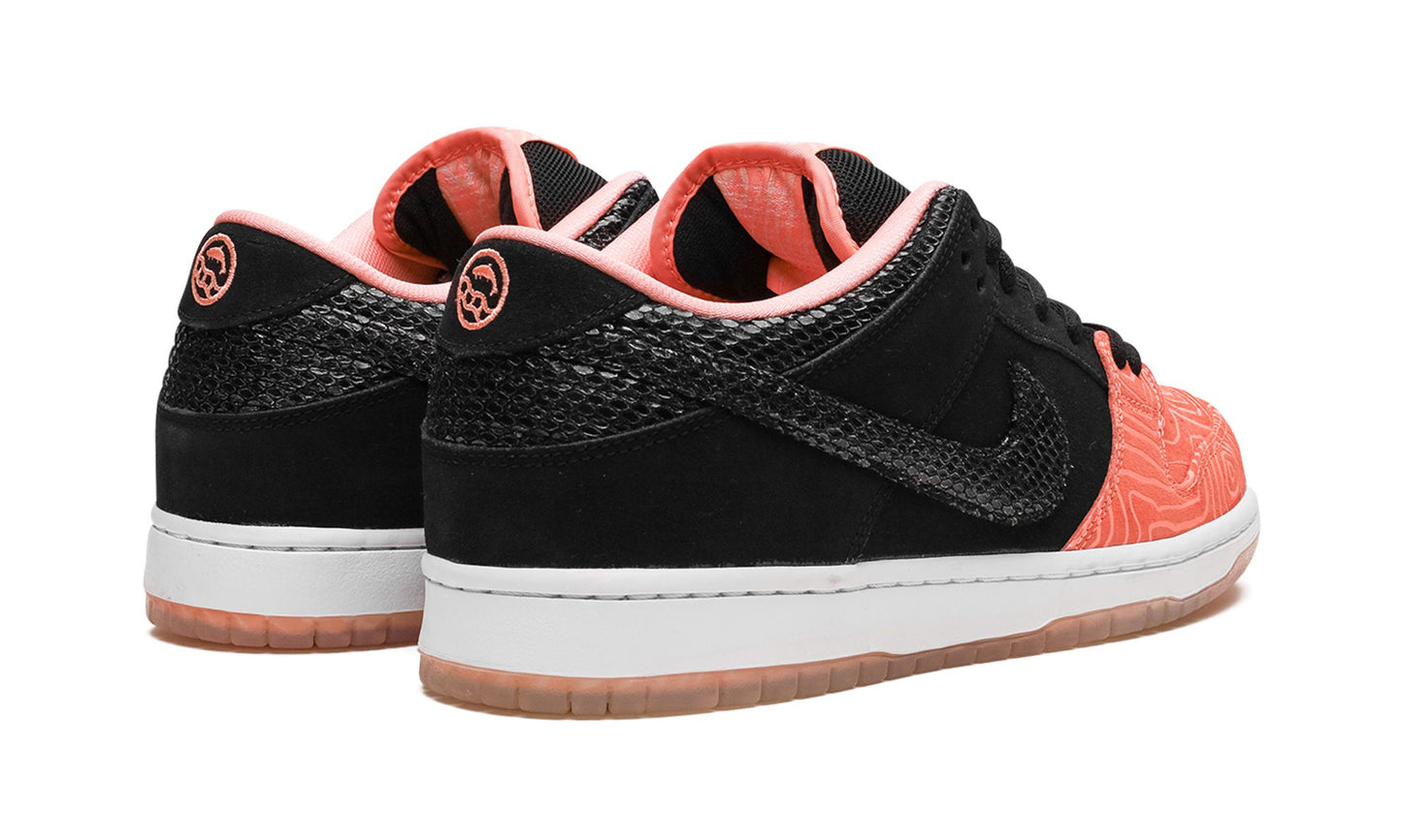 Nike SB Dunk Low 'Premier Fish Ladder' (PRE-OWNED)