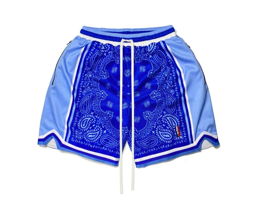 Collect And Select Swingman Shorts - Nipsey Blue
